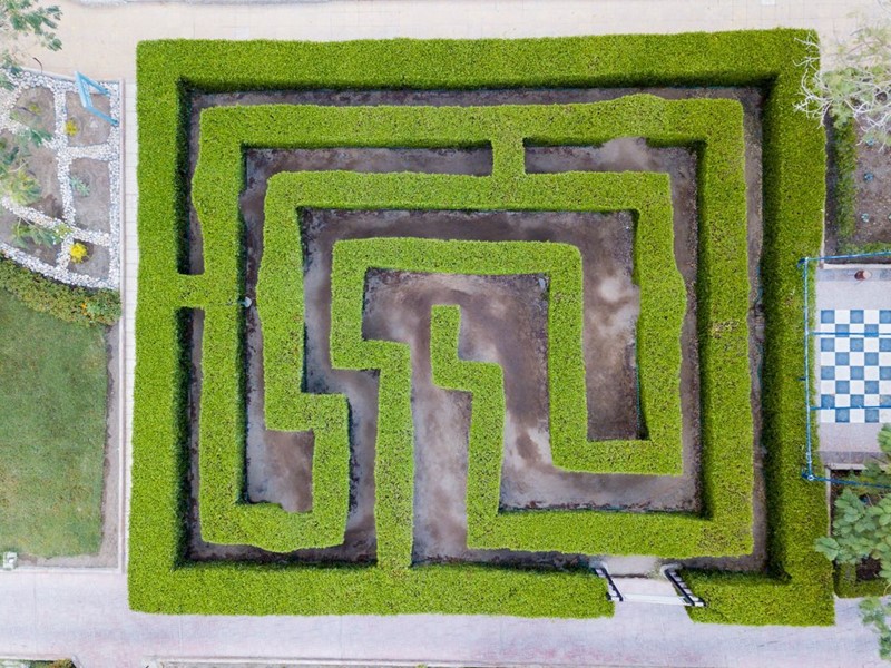 Landscape And Garden